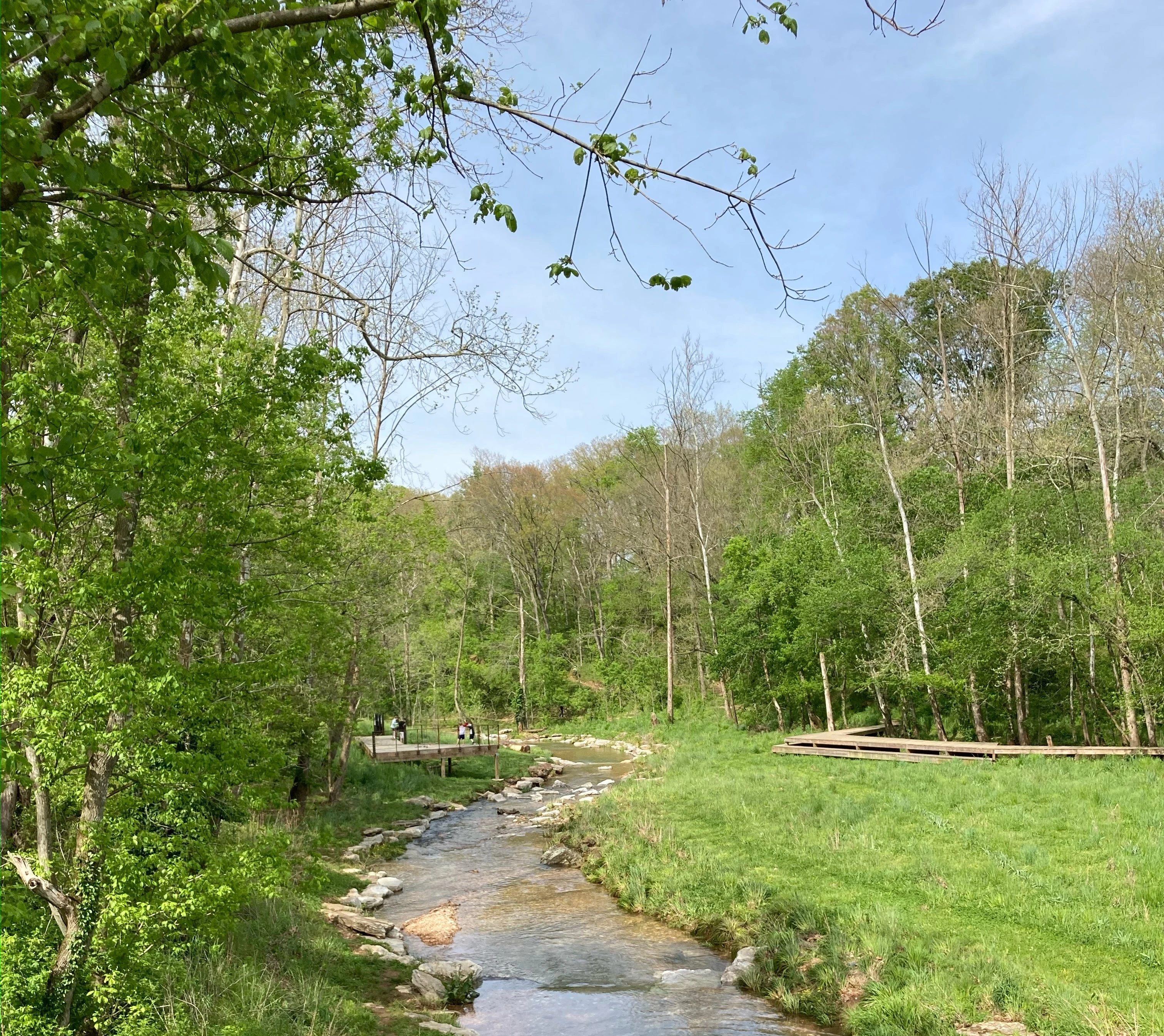 Coler Creek trail in Bentonville, AR